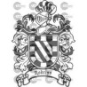 ESCUDO HERALDICO RODRIGO VIZCAYA
