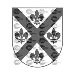 ESCUDO HERALDICO RODRIGUEZ CASTILLA