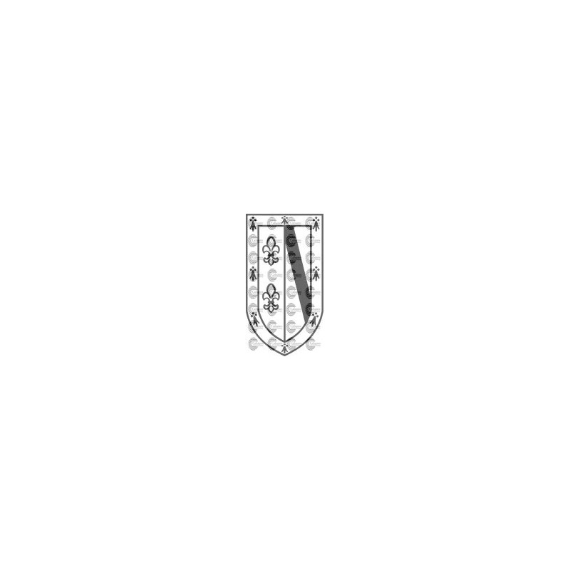 ESCUDO HERALDICO LLORENTE LOGROÑO