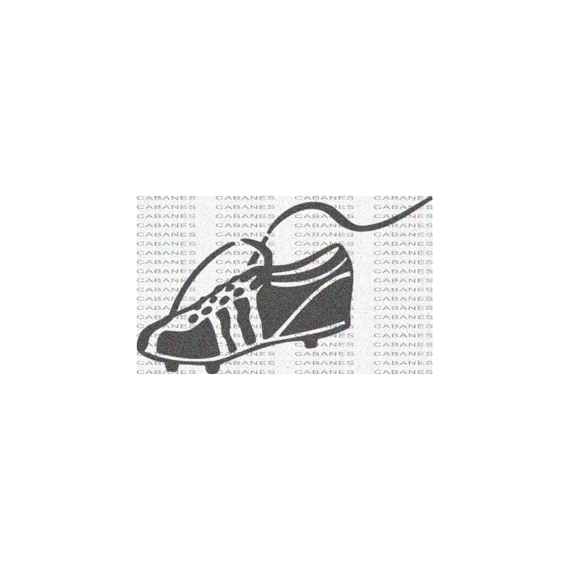 ZAPATILLA  FUTBOL