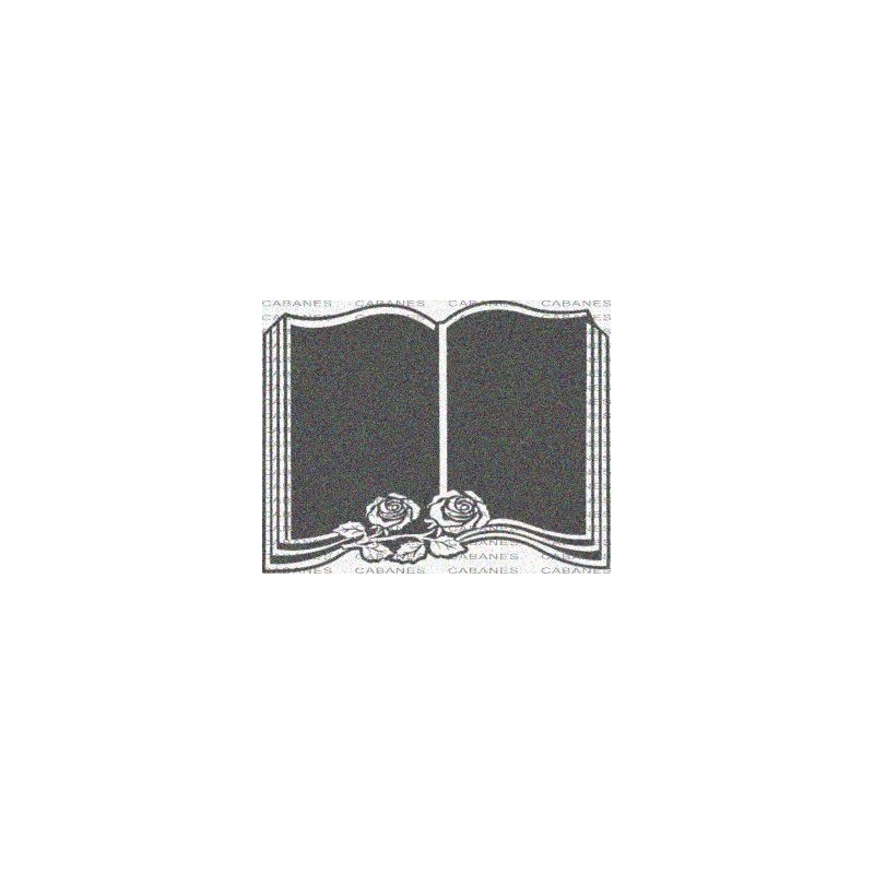 LIBRO ROSA
