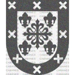 ESCUDO APELLIDO BARCO CATALUÑA