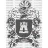 ESCUDO APELLIDO CASTILLO