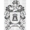 ESCUDO APELLIDO CASTILLO
