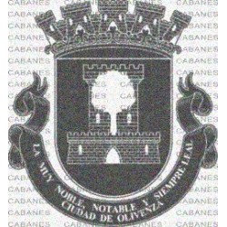 ESCUDO OLIVENZA BADAJOZ