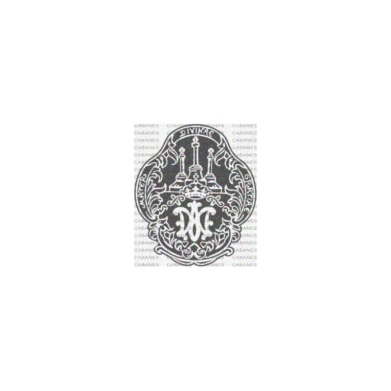 ESCUDO VIRGEN MARIA