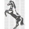 CABALLO