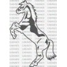 CABALLO
