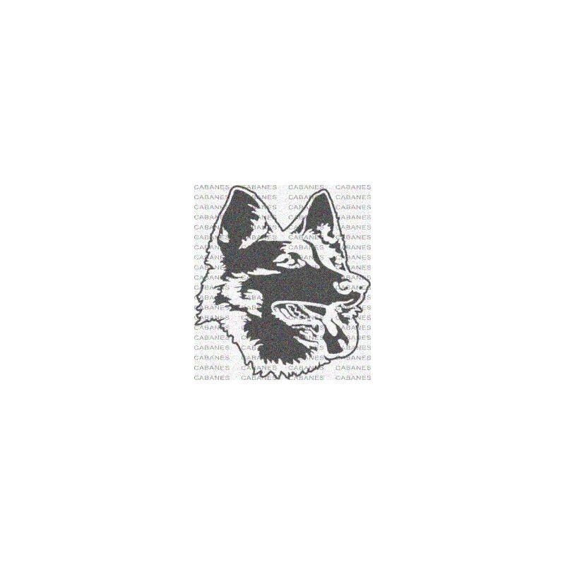 LOBO