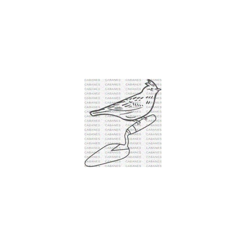 PAJARO PALETA ALBAÑIL