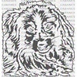 CABEZA PERRO
