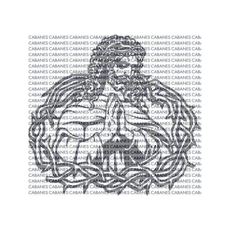 CRISTO ORACION 004