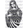 VIRGEN SAGRADO CORAZON