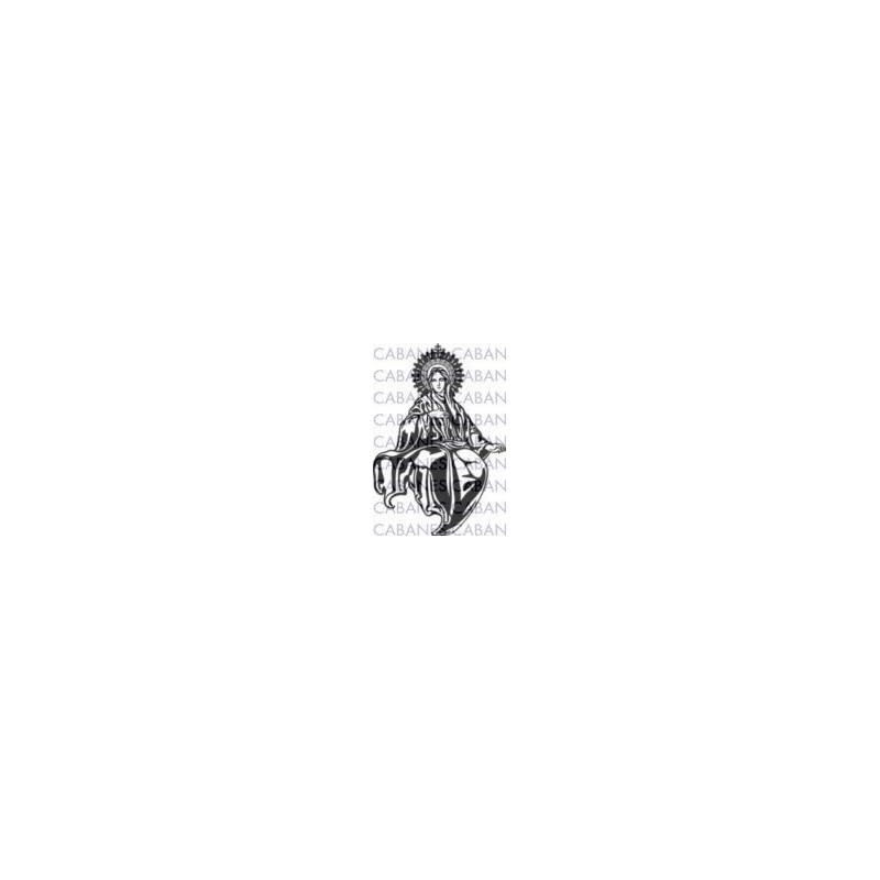 VIRGEN 010
