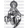 VIRGEN 010