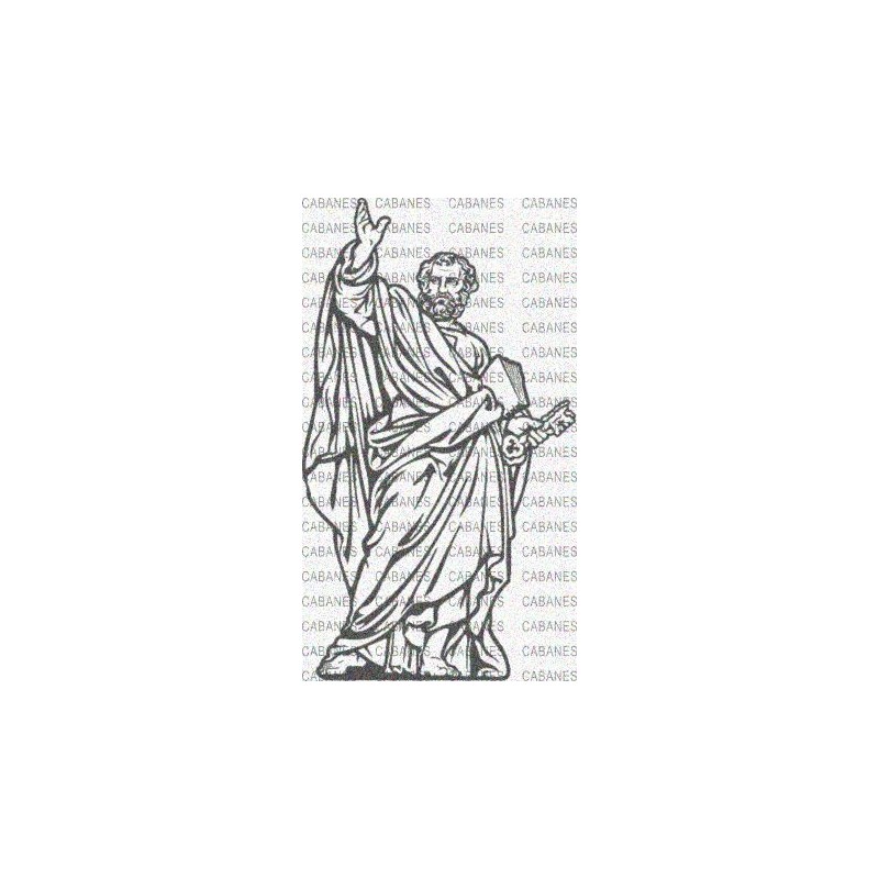 SANTO PEDRO VATICANO