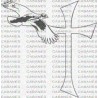 CRUZ GAVIOTA 001