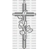 CRUZ ROSAS
