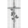 CRUZ ROSAS