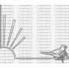 PALOMA RAMA