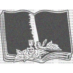 LIBRO ROSA