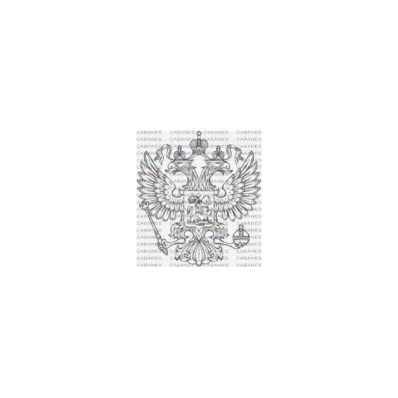 ESCUDO RUSIA