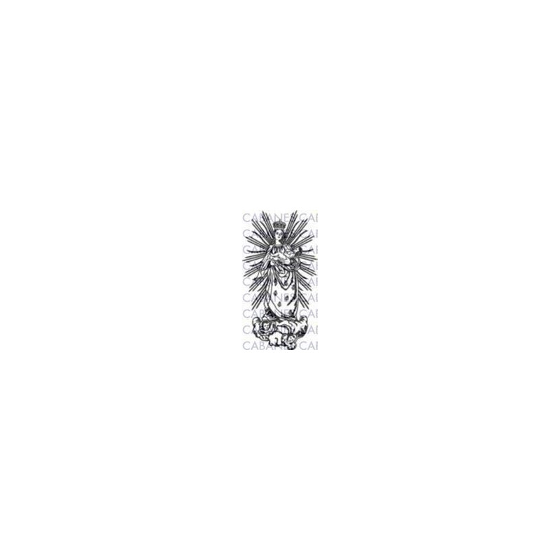 VIRGEN SALOBRAR CACERES 001