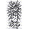 VIRGEN SALOBRAR CACERES 001