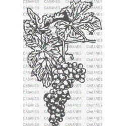 RACIMO UVAS