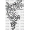 RACIMO UVAS