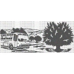 PAISAJE AUTOBUS OLIVO
