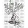 OLIVO ESCOPETA BELLOTAS