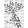 OLIVO ESCOPETA BELLOTAS