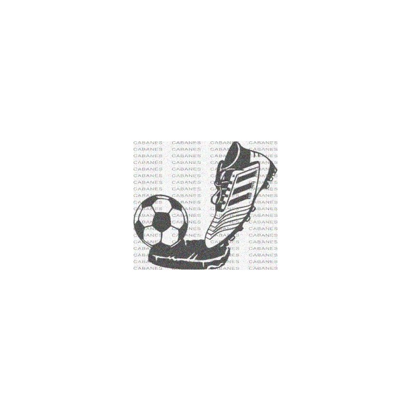 BALON BOTA FUTBOL