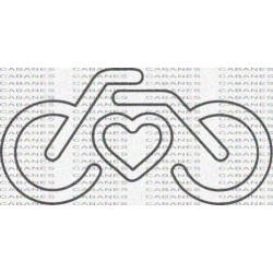 BICICLETA CORAZON