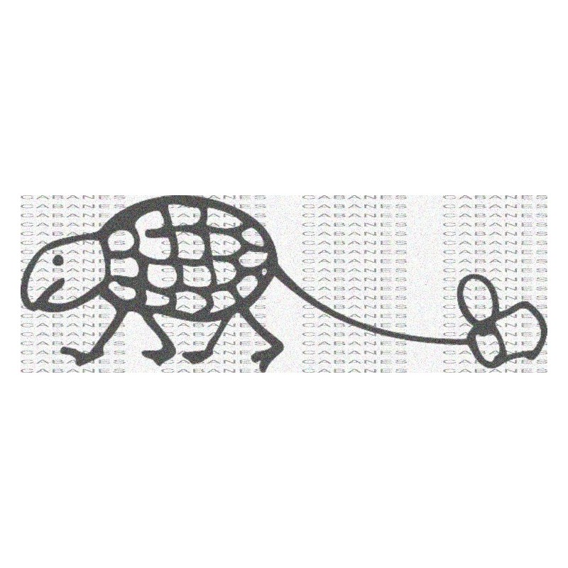 DIBUJO TORTUGA LATA