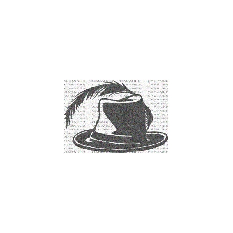 SOMBRERO HOMBRE PLUMA