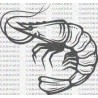 GAMBA