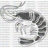 GAMBA