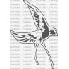 GOLONDRINA