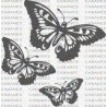 MARIPOSAS