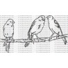 AVES CANARIOS RAMA