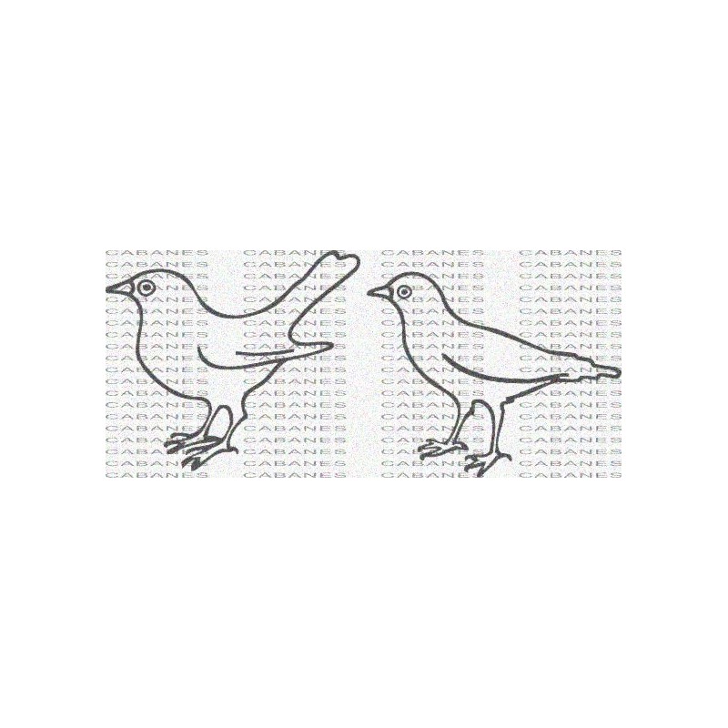 PAJAROS