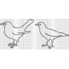 PAJAROS