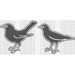 PAJAROS