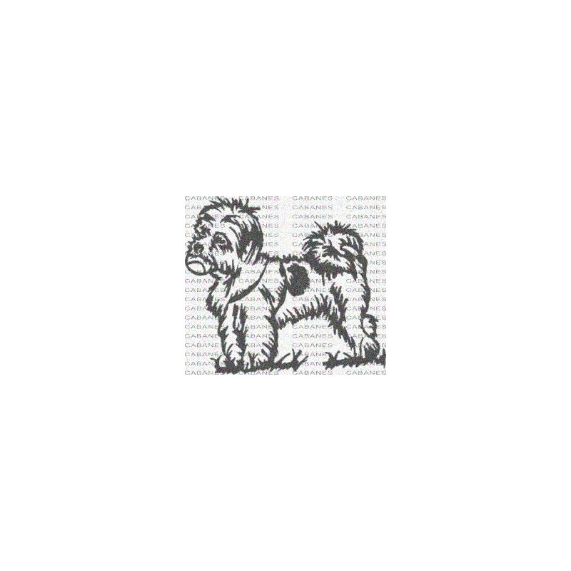 PERRO YORSAY PELOTA
