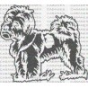 PERRO YORSAY PELOTA