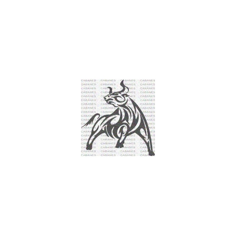TORO