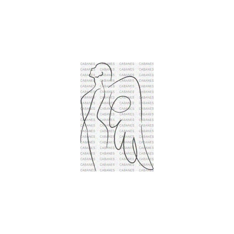 SILUETA ANGEL