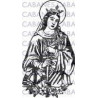 SANTA CATALINA